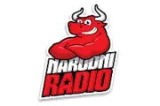 NARODNI Radio